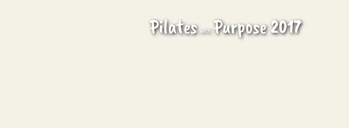 Pilates with Purpose Fundraiser 2017-Horizons For Homeless Children